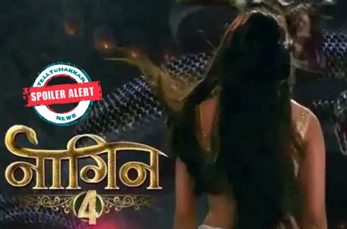 Naagin 4 Nayantara And Brinda Are Twin Daughters Of Mahir And Bela